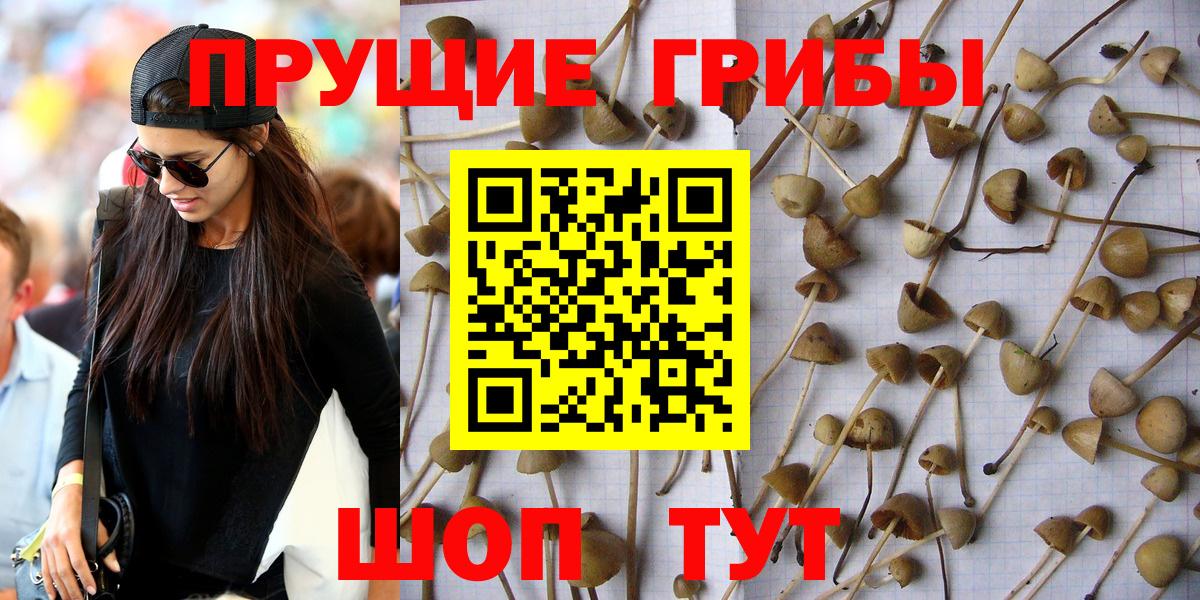 Псилоцибиновые грибы ЛСД  Галлюциногенные грибы прущие грибы  Владимир  Вход с VPN 